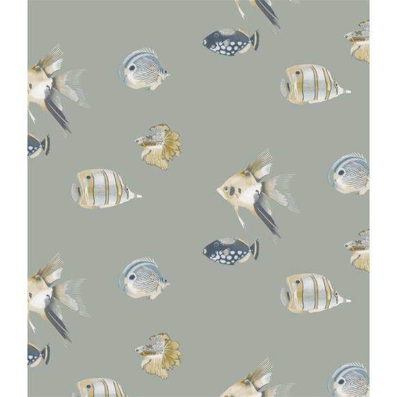 Harlequin Accents Harlequin Anthozoa Wallpaper Collection In Kamanu